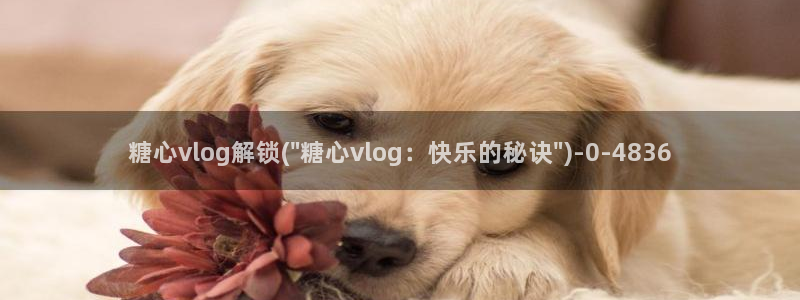 糖心vlog 葫芦:糖心vlog解锁(\