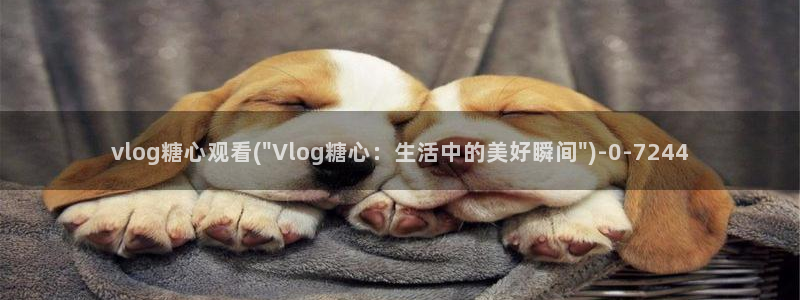 糖心vlog官方账号:vlog糖心观看(
