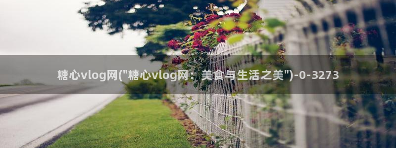 糖心vlog小站:糖心vlog网(\