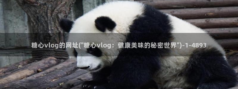 现在是糖心vlog时间:糖心vlog的网